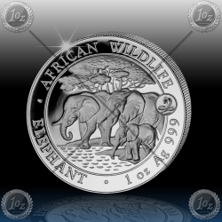 1oz SOMALIJA 2013 Privy (Year of the Snake) 1oz SOMALIJA 2013 Privy (Year of the Snake)